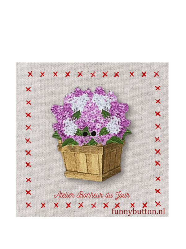 Bloembak lila-roze hortensia`s
